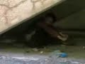 kicevo vrsenje nuzda na javno mesto kicevo vrsenje nuzda na javno mesto