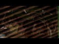 Tanglaw Music Video