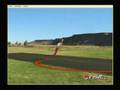 Real Flight G3.5