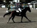 adam in ms classic