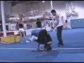 Summer Gym Tricking 2006