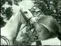 the-white-horses-tv-series-tribute-1.html