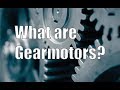 What Are the Different Gear Motor Types?