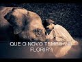 A salvação do planeta é o bicho