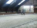 videos de CHACHA A BONDUES FOREST