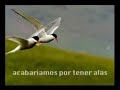 Poema visual (Esperanza)
