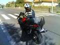 Honda CBR 600 F-Sport