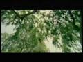 Huecco - Mirando Al Cielo