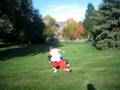 kid scores his first touchdown?...or tackeled by tereriost