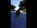 Sledding in San Antonio