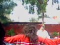 MOV0115A