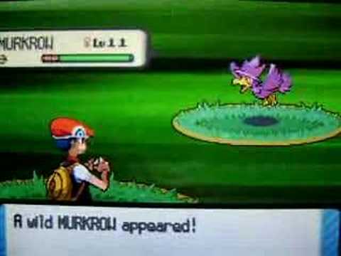 Murkrow
