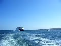 Condor Ferry Flyby!