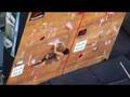 Mammut/EMS Bouldering Competition-Summer 07 (part one)