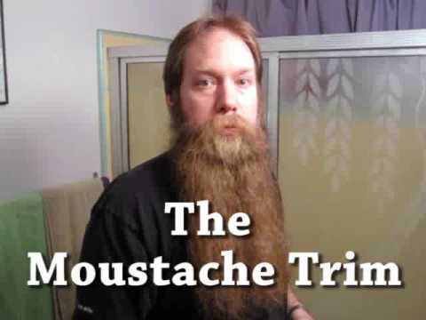 how to grow a george v moustache