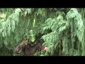 Swamp Thing at Boo Bayou 2007