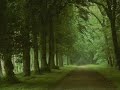 Petter - These Days (Luke Chable Remix) (ASOT 207 RIP)