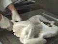 YouTube - Cook a turkey in 2 hours