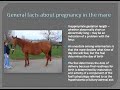 Foal Care -- TheHorse.com