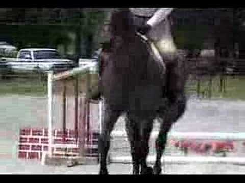 CC Juniper Bar Long Stirrup