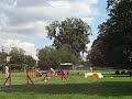 Zawody agility Wrocław BENEK