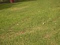 Ford Park, Bell Gardens, Ca