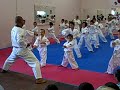 Pit-Bull Leipheim Sportschule Gürel Taekwondo & Allkampf Pit-Bull Leipheim Sportschule Gürel Taekwondo & Allkampf