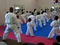 Pit-Bull Leipheim Sportschule Gürel Taekwondo & Allkampf