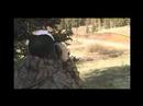 The Buckmistress - Glassing for Elk The Buckmistress - Glassing for Elk