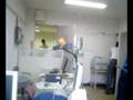 Beres beres laboratorium