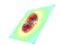 wavefunctions of porphyrin moleucle Porphyrins