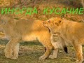 ДЛЯ ДРУЗЕЙ