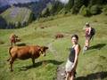 videos de Haute Savoie 2008