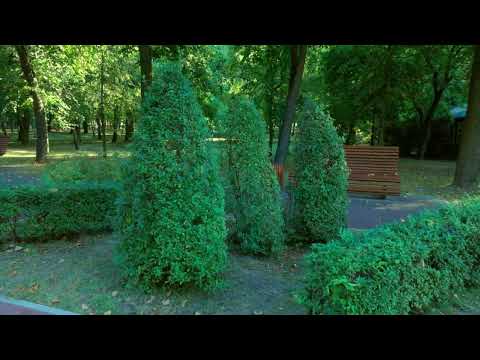Барановичи день за днем. 29.08.22.