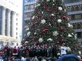Chicago Christmas Tree lighting at Daley Center Plaza 12-2-2008