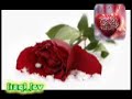 اغنيه روعه للفنان عماد مجدي