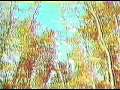 ovni de cumber land