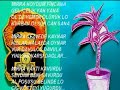 KAHTALI MIÇE-KAHTALI HAMİDO ve ADIYAMAN resimleri MIRRA