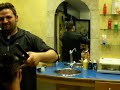 pomigliano d arco via fratelli bandiera