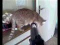 SCHOUT CHAT 2
