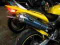 HORNET ACELERANDO STORM PIPE