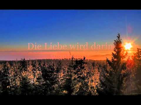 shake up happiness - LESEN IHR DOOOOTSCHEN! ! ! ! ! ! ! ! :D Wunderschoenen 4. Advent; meine Lieben! Lied: Train - Shake up christmas ------------------- Gibt nicht viel dazu zu ...