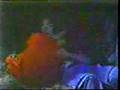 As the World Turns Tom Margo and MR BIG-3