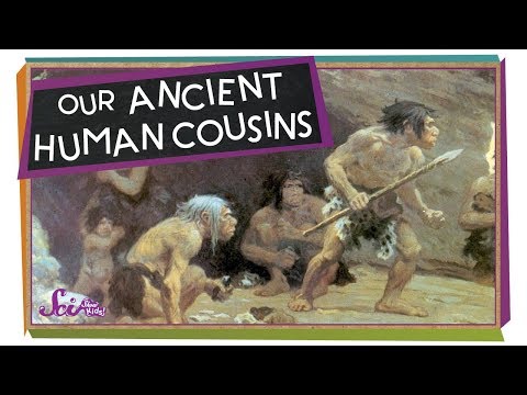 Unit 17-Our Ancient Human Cousins Thumbnail