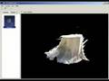 Photogrammetry of a tree stump