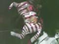 videos de SniifandooW zebrass xD