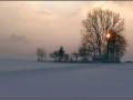 videos de Tarja - You would have loved this