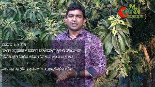 আমের মুকুল আসার পর...