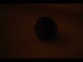 Click here to watch this video わははのボール