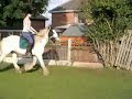 Jumpin.mp4
